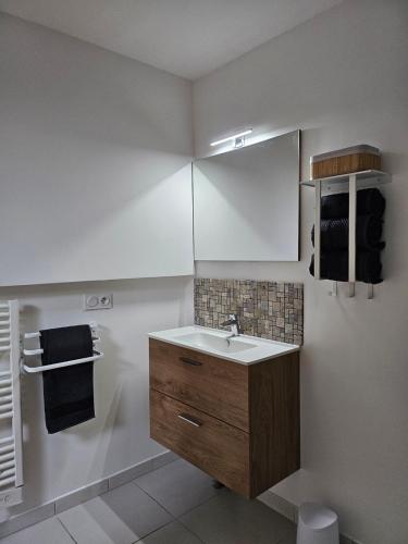 une salle de bain avec un lavabo et un miroir dans l'établissement Appartement cosy à Royan, à Royan