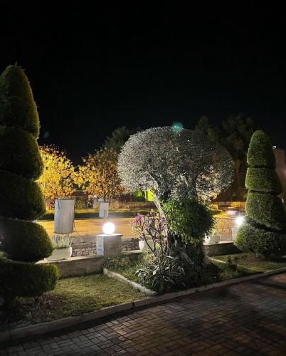 a garden at night with a tree with lights at Hotel Kaceli in Berat