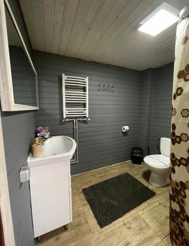 Bilik mandi di Карпатський котедж Karpatian cottage