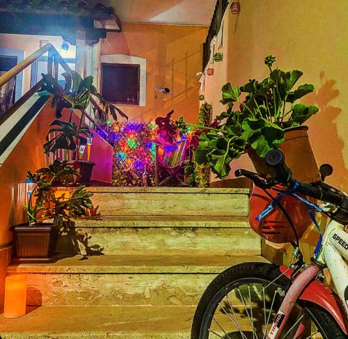 Ảnh trong thư viện ảnh của Villa Maria Luxury Apartments ''Bunec-Piqeras''! ở Piqeras