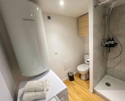 une petite salle de bain avec douche et toilettes dans l'établissement Charmant Duplex 2 Chambres, Centre historique, à Avignon