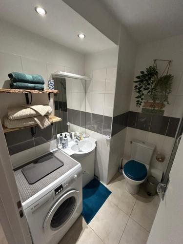 une salle de bain avec une machine à laver et un lavabo dans l'établissement Studio Emeraude à Cavalaire, à Cavalaire-sur-Mer