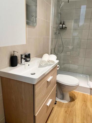 une salle de bain avec un lavabo, des toilettes et une douche dans l'établissement Agréable Studio refait à neuf, Centre historique, à Avignon
