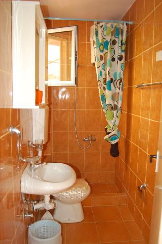 a bathroom with a sink and a toilet and a shower at Vila Montenegro in Dobra Voda