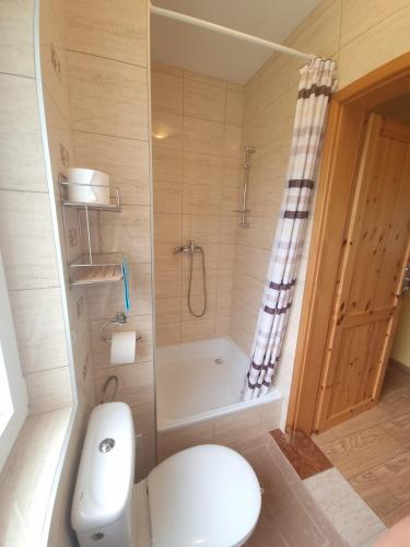 a small bathroom with a toilet and a shower at Noclegi u Kowala 602-793-591 in Solina
