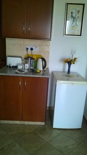 Η κουζίνα ή μικρή κουζίνα στο Elenas Home
