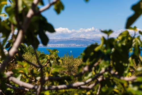a view of the ocean through the trees at VILLA AGAPE - Three bedroom villa on 15k m2 olive grove - Incredible 360 view - Free parking - Private pool and jacuzzi in Mirce