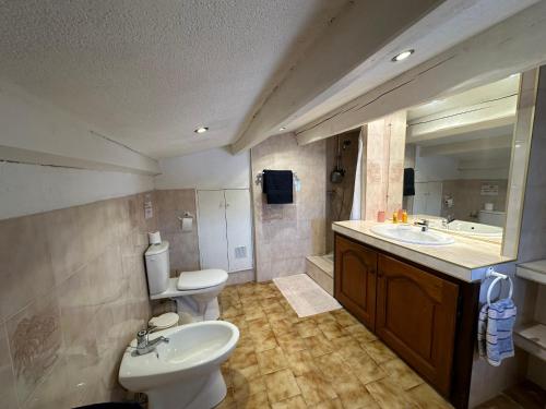 une salle de bain avec un lavabo, des toilettes et un miroir dans l'établissement Appartement dans maison familiale, à Saint-Laurent-du-Var
