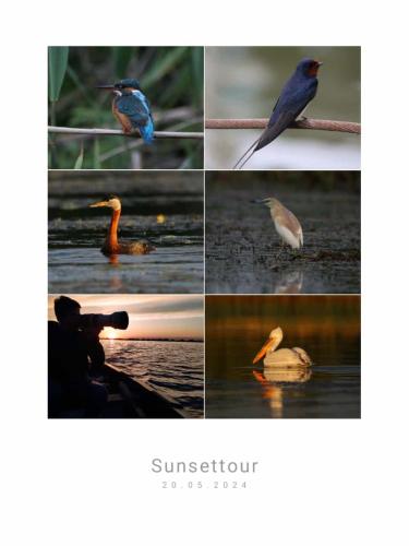 a collage of pictures of birds on the water at Casa Munteanu in Mila Douăzeci şi Trei