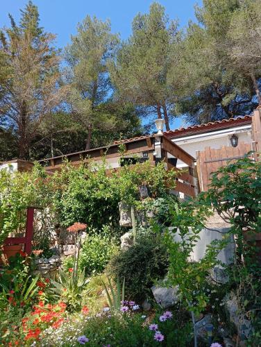 Photo de la galerie de l'établissement petite maison au calme - piscine en copropriété, terrasse, mer, clim, à Vallauris