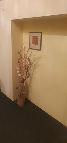 a vase with flowers in a corner of a room at Lhotka Kopeček in Žďár nad Sázavou