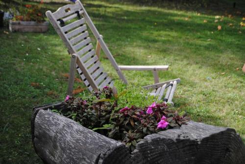 a chair sitting on top of a rock with flowers at Cal Pastor de Planès in Planoles