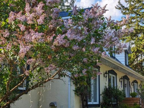 La Tremblante في مونت تريمبلانت: منزل أمامه شجرة مزهرة