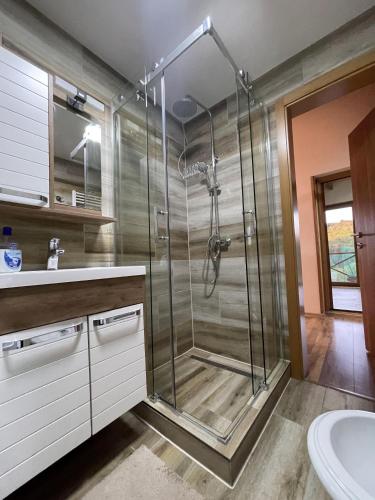 a bathroom with a shower with a sink and a toilet at Villa Sarajevo in Vareš