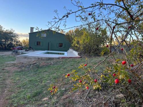 a green house in the middle of a field at Casa en plena Montaña in Prades