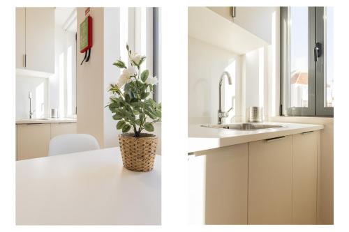 a white kitchen with a plant sitting on a counter at Belém Design Apartments by Homing in Lisbon