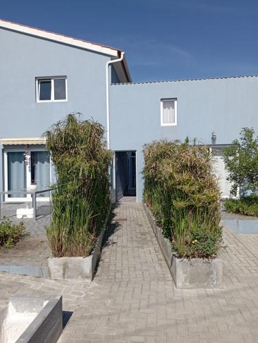 a white building with plants in front of it at Yellow Door in Gafanha da Encarnação