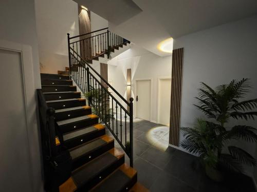 瓦倫西亞的住宿－Vacansis Apartamentos Bulevar，楼梯间房子的楼梯