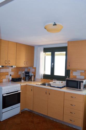 a kitchen with wooden cabinets and a sink and a microwave at Bluegonia in Éxo Goniá