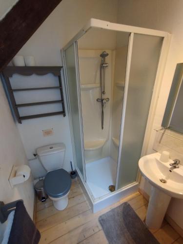 une salle de bain avec une douche, des toilettes et un lavabo dans l'établissement The Barn Owls, à Laniscat
