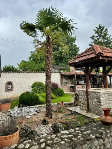 Zahrada ubytování orman villa