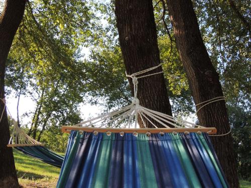 a hammock tied to a tree in a park at La Scuola Di Furio Apartments in Fucecchio