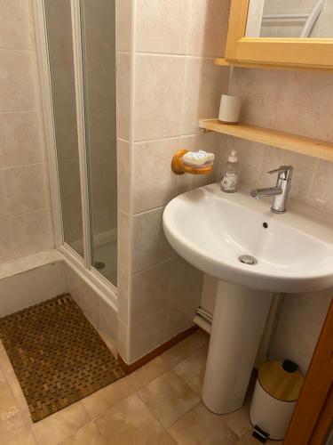 une salle de bain avec lavabo et douche dans l'établissement Ambiance montagne front de neige, à Thollon-les-Mémises