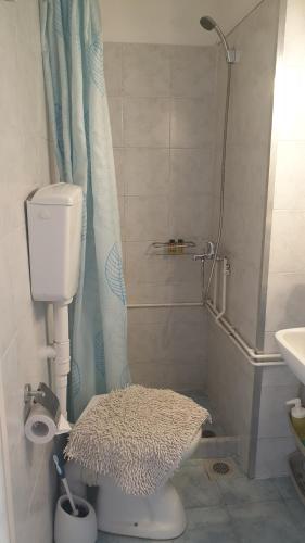 a bathroom with a shower with a toilet and a sink at ERRIKA in Ermoupoli