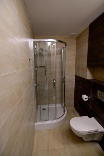 a bathroom with a shower and a toilet at Willa Sara Karwia in Karwia