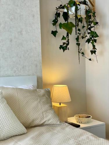 1 dormitorio con 1 cama con una planta colgada de la pared en Suite UIO, en Quito