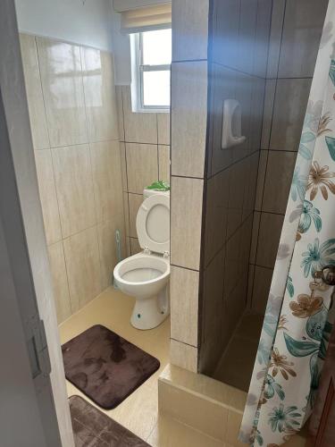 a small bathroom with a toilet and a shower at Alice's Abode in Port-of-Spain