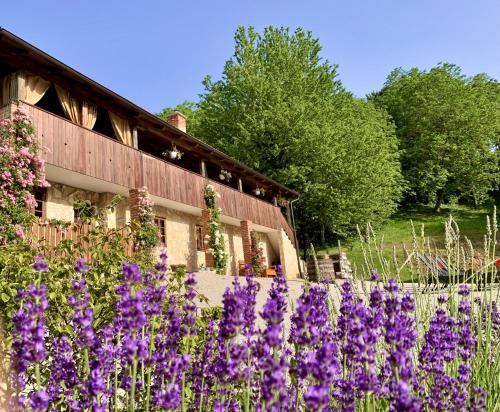 a garden with purple flowers in front of a building at Family friendly house with a swimming pool Novi Marof, Zagorje - 19184 in Novi Marof