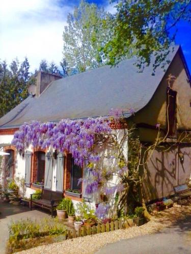 Κήπος έξω από το Moulin Du David