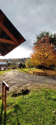 a park with a tree and a gravel road at Turismo Jaos Cabañas Tinas y Quincho in Futrono