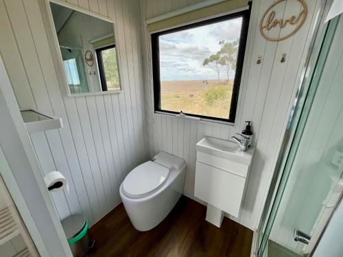 a small bathroom with a toilet and a window at Avondale Heights 