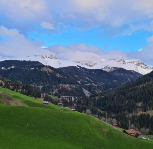 a green hill with snow capped mountains in the background at FeWo D'Rock Arosa im Zentrum by Nature Apartments Switzerland in Arosa