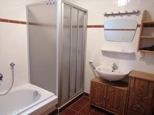 een badkamer met een douche en een wastafel bij Haus 129 Top 1 in Krimml