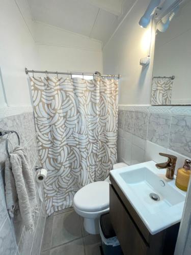 a bathroom with a toilet and a shower curtain at ALOJAMIENTO AVENIDA DEL MAR CABAÑA LA SERENA in La Serena