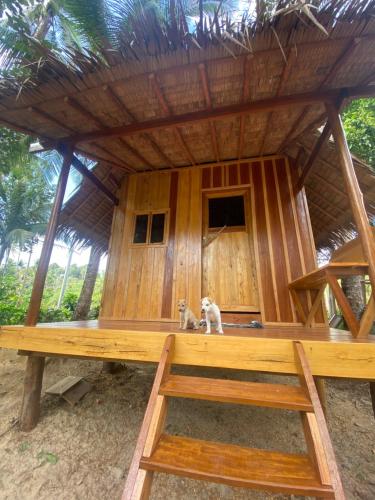 a dog sitting on a bench in a hut at Lily's Beach Bungalows in Koh Rong Island