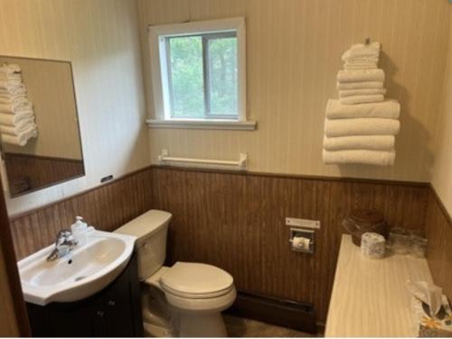 Bilik mandi di Colton Point Motel