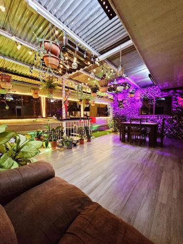 salon z kanapą, stołami i roślinami w obiekcie Apartamento SamSay I w mieście Cartago