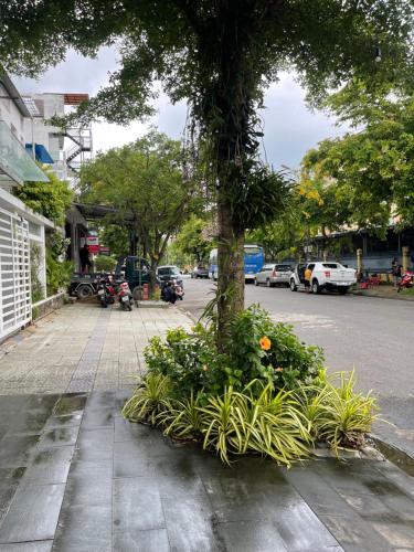 a tree on the side of a street with plants at DELUXE VILLA 4 phòng ngủ 5 giường lớn in Hue
