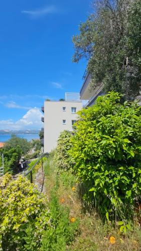 a white building on a hill next to some bushes at Residence Alpha Apartments in Cavtat