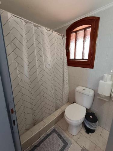 a bathroom with a toilet and a shower at Nisaki chios apartments in Agia Ermioni
