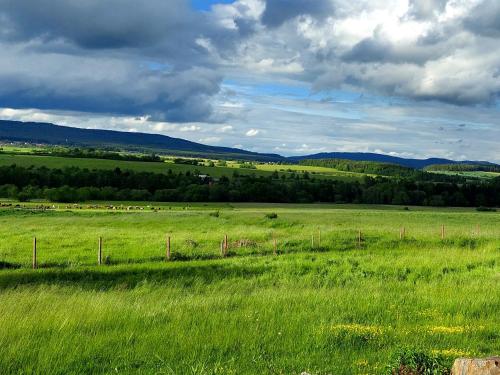 a field of green grass with a fence in it at Panorama house Brdy in Příbram