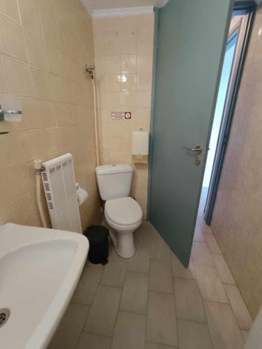 a bathroom with a toilet and a sink and a shower at Nisaki chios apartments in Agia Ermioni
