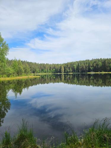 GałkowoにあるPrzystanek Gałkowoの木々が茂る湖の景色