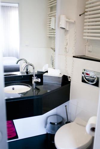 a bathroom with a sink and a toilet at Hotel Brauereigasthof Schwanenbräu in Ebermannstadt