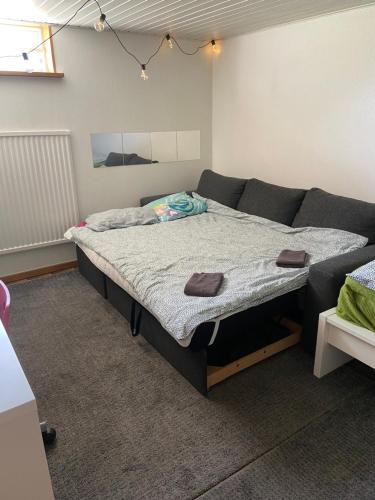 ein Schlafzimmer mit einem Bett und einem Sofa in der Unterkunft The Basement in Malmö