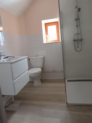 une salle de bain avec toilettes, lavabo et douche dans l'établissement Gite du soleil levant jura, à Gevingey